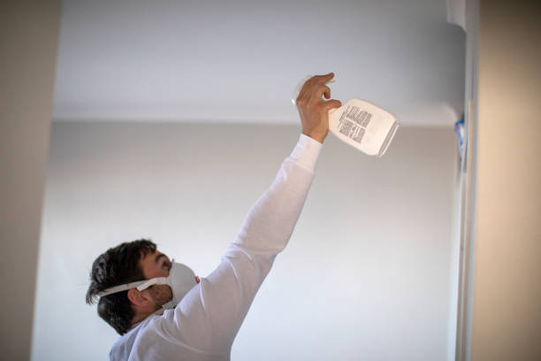 Best Home Mold Removal  in El Cerro Mission, NM